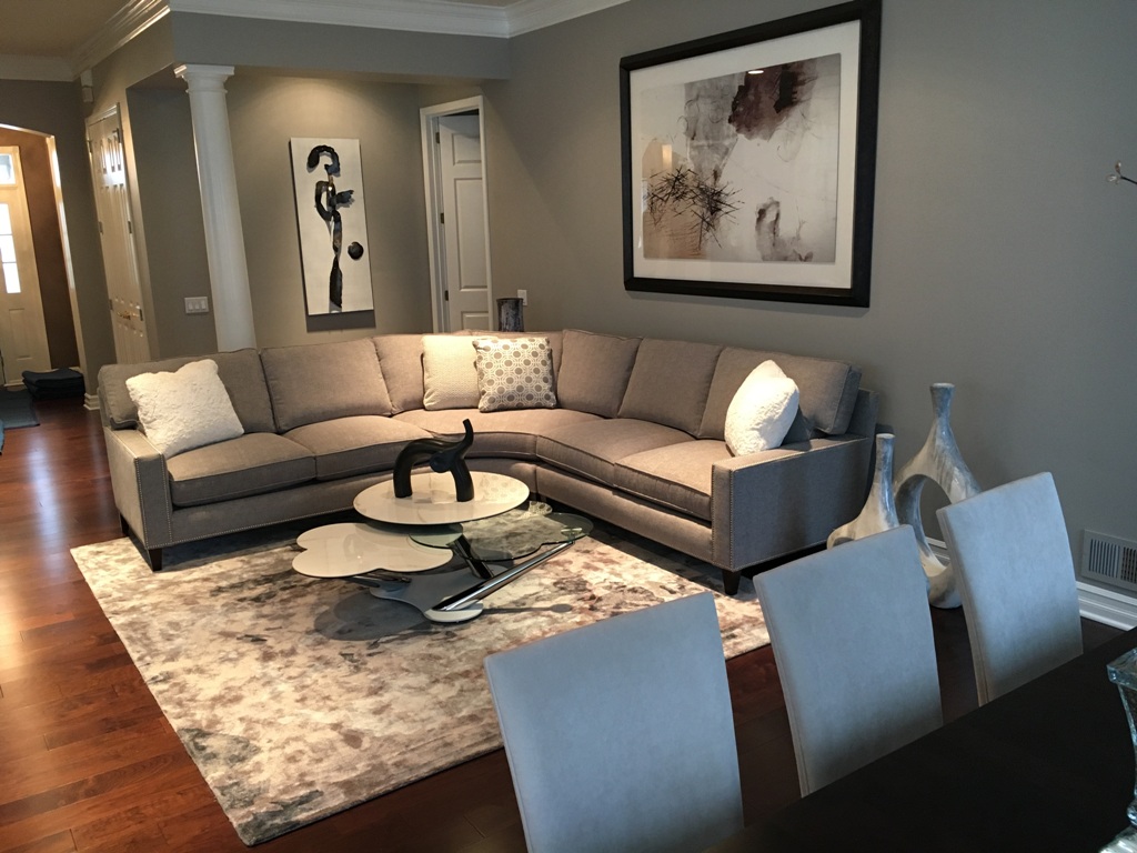 Living Room Designed By Sheryl Rothman