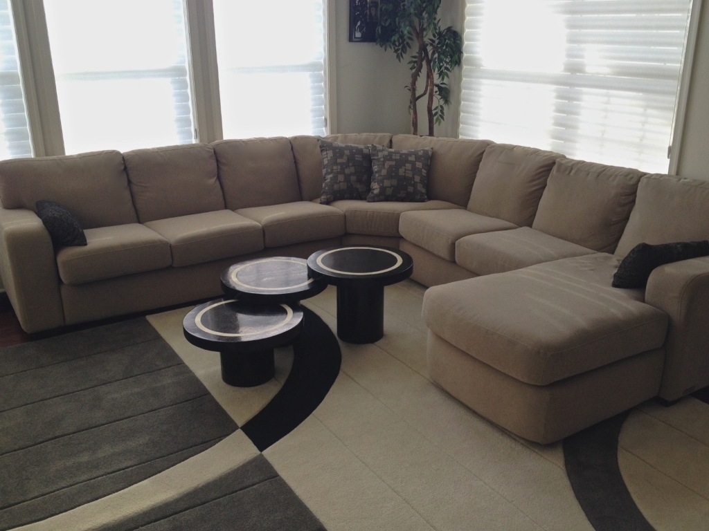 Living Room and Dining Room Designed by Sheryl Rothman