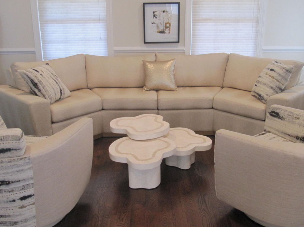 Living Room Project Designed By Sheryl Rothman